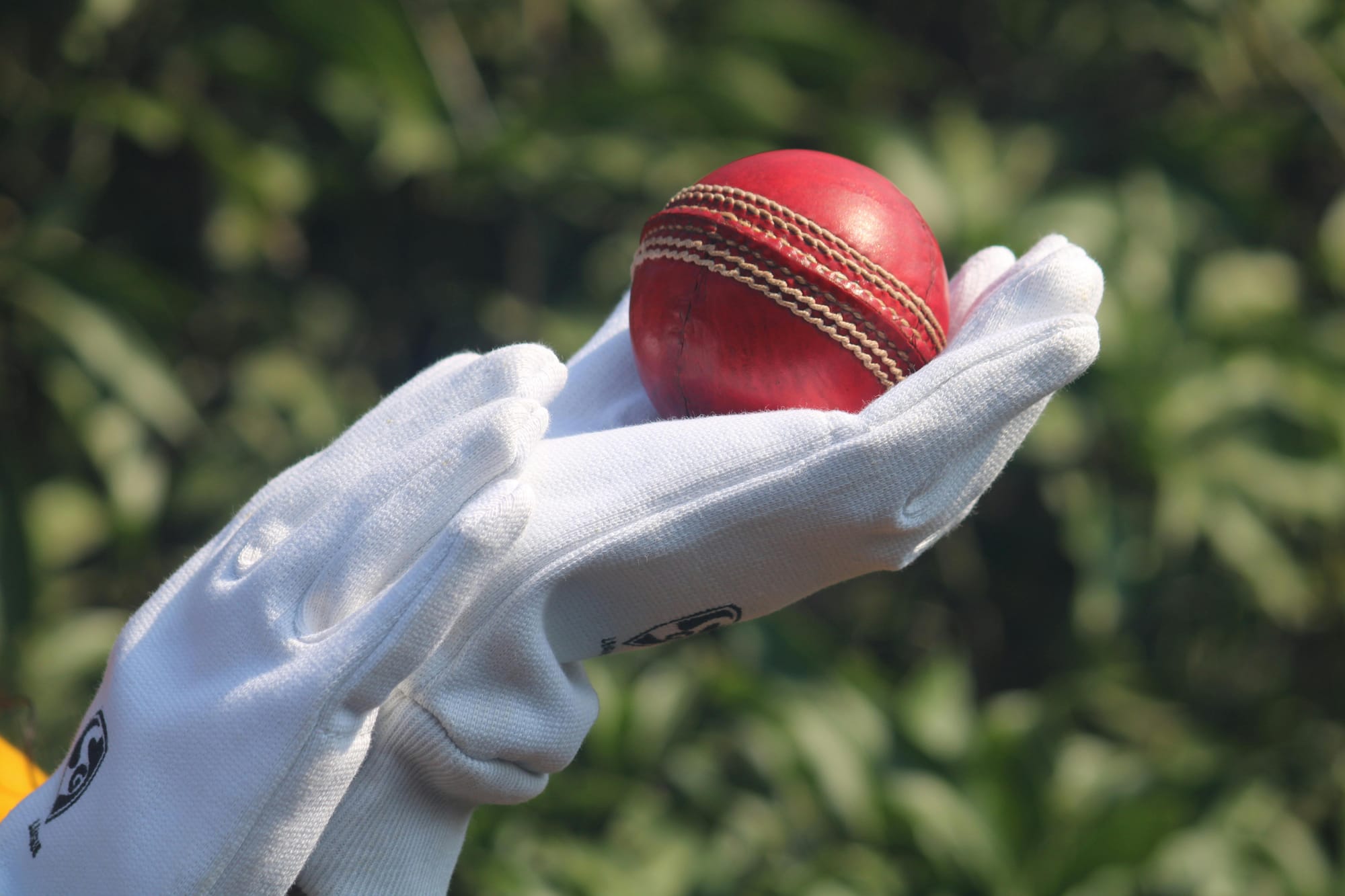 A blend of Test and T20 game